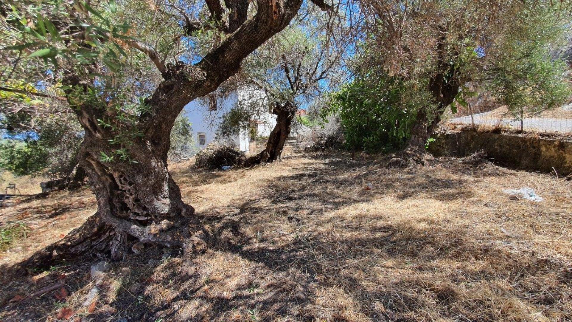 A very beautiful old stone house with a plot and a superb view near